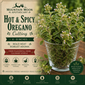Hot & Spicy Oregano Cutting (Origanum vulgare 'Hot & Spicy') - Live Herb Plant Starter