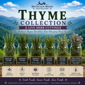 Thyme Collection - 6 Live Herb Cuttings | Culinary & Ornamental Thyme Garden Starter Collection