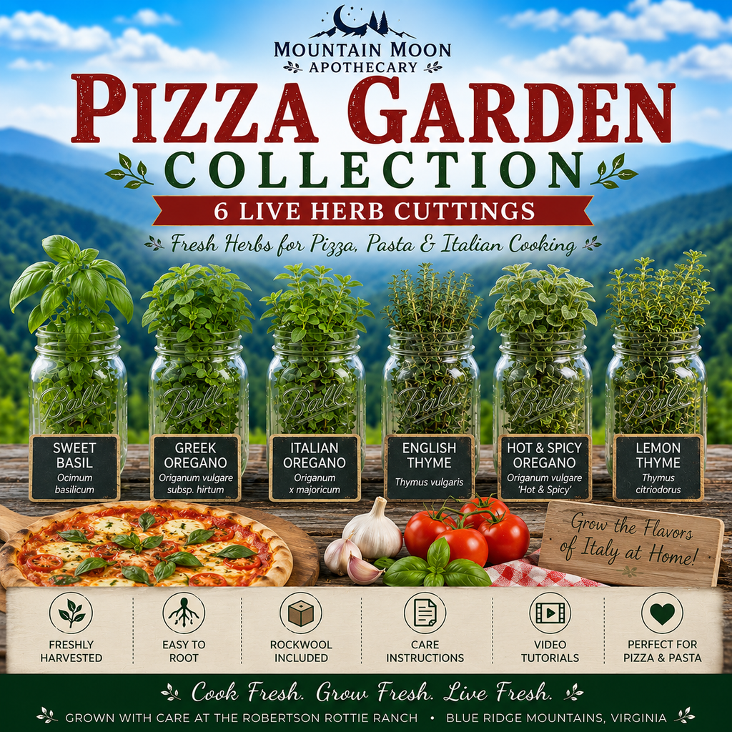 Pizza Garden Collection - 6 Live Herb Cuttings | Basil, Oregano & Thyme Pizza Herb Garden Starter Kit