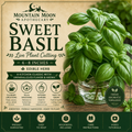 Sweet Basil Cutting (Ocimum basilicum) - Live Herb Plant Starter