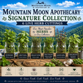 Mountain Moon Apothecary Signature Collection - 6 Live Herb Cuttings