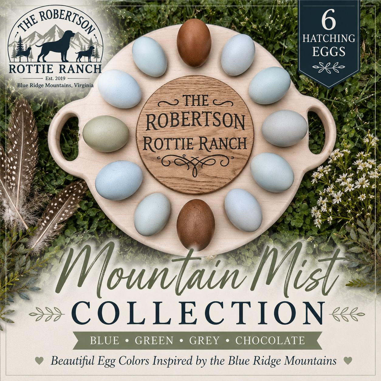 Mountain Mist Collection | 6 Colorful Chicken Hatching Eggs | Blue Ridge Rainbow Layer Blend (Copy)
