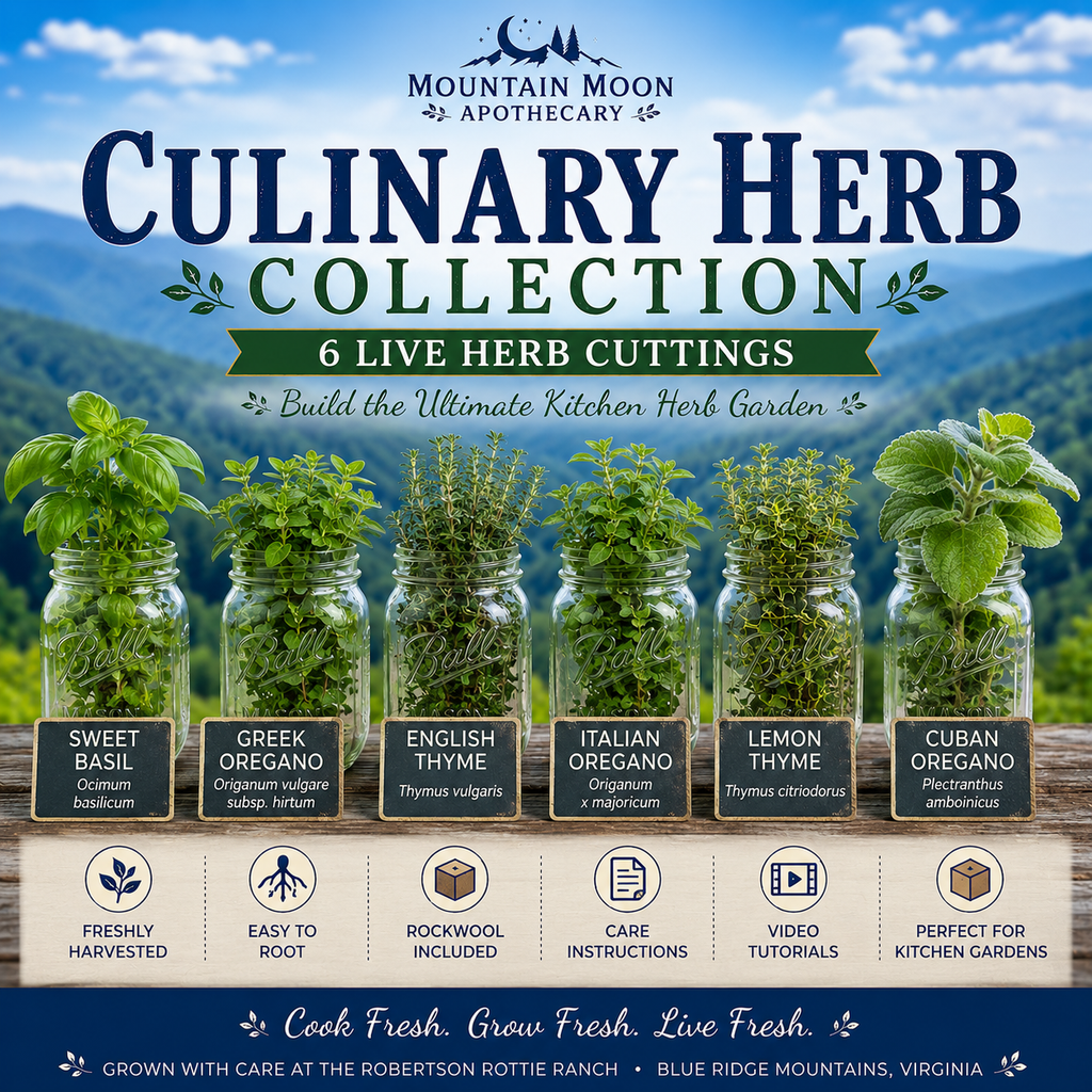 Culinary Herb Collection - 6 Live Herb Cuttings | Basil, Oregano & Thyme Herb Garden Starter Collection